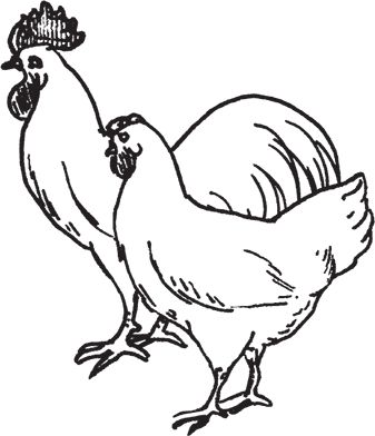 Сергей Кашин - Фермерское хозяйство. Доступное и успешное