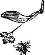 Дмитрий Зуев - Времена года