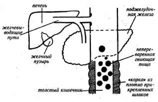 Владимир Гусев - Возвращение в молодость
