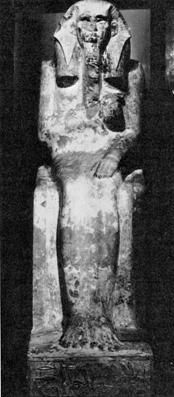 Елена Грицак - Популярная история медицины