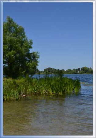 Юрий Шестопал - Мы для любви все рождены...