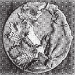 Татьяна Дорошенко - Изделия из керамики