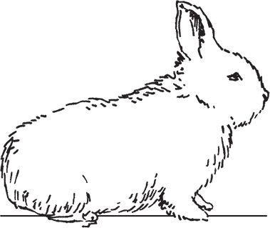 Сергей Кашин - Фермерское хозяйство. Доступное и успешное