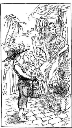 Густав Эмар - Том 20. Фланкер. Новая Бразилия