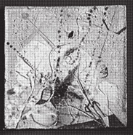 Татьяна Дорошенко - Изделия из керамики