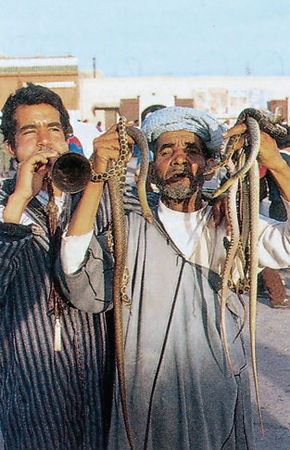 Франк Вельте, Ингольф Верено и др. - Марокко. Путеводитель