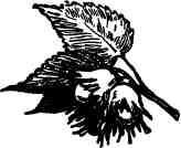 Времена года