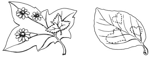 Татьяна Плотникова - Поделки из засушенных цветов и листьев