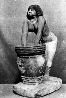 Елена Грицак - Популярная история медицины