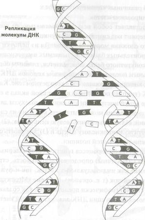 Роберт Джерард - Измени свою ДНК, измени свою жизнь