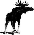 Времена года