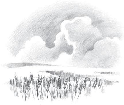 Коллектив авторов - Новый Завет в изложении для детей