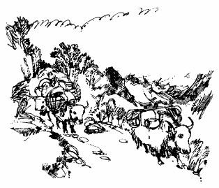 Сунил Джха - Непал: Обычаи и этикет