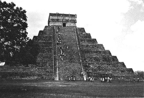 Елена Грицак - Популярная история медицины