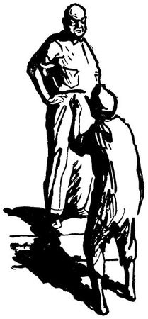 Мулк Ананд - Два листка и почка