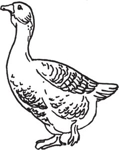 Сергей Кашин - Фермерское хозяйство. Доступное и успешное