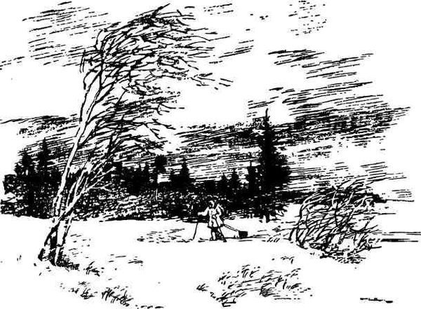 Дмитрий Зуев - Времена года