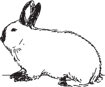 Сергей Кашин - Фермерское хозяйство. Доступное и успешное