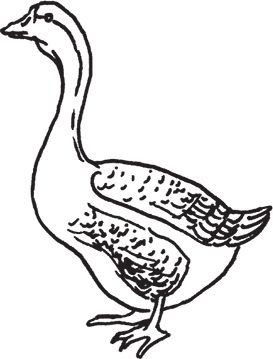 Сергей Кашин - Фермерское хозяйство. Доступное и успешное