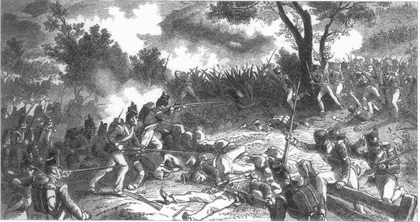 Сергей Нечаев - Три португальских, похода Наполеона