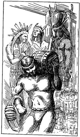 Густав Эмар - Том 20. Фланкер. Новая Бразилия