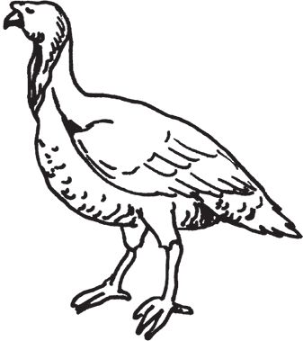 Сергей Кашин - Фермерское хозяйство. Доступное и успешное