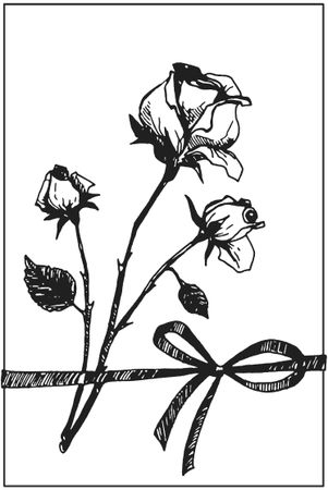 Татьяна Плотникова - Поделки из засушенных цветов и листьев