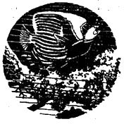 Жак-Ив Кусто, Филипп Диоле - "Калипсо" и кораллы