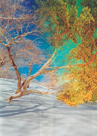 Александр Хакимов - Реинкарнация. Размышления