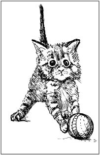 Светлана Ращупкина - Выжигание по дереву