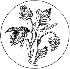 Светлана Ращупкина - Выжигание по дереву