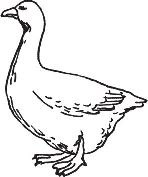 Сергей Кашин - Фермерское хозяйство. Доступное и успешное