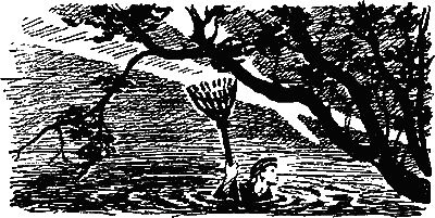 Леонид Платов - Секретный фарватер (Изд. 1963 г.)