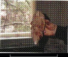 Колыбели цивилизаций