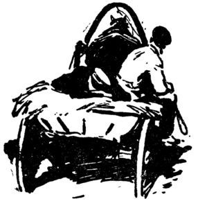 Андрей Кучкин - Семи смертям не бывать