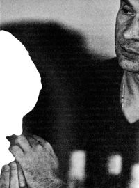 Дмитрий Липскеров - Мясо снегиря (гептамерон)