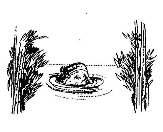 Энтони Мелло - Когда Бог смеется (сборник рассказов-медитаций)