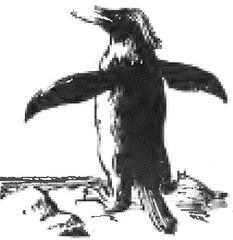 Иосиф Магидович, Вадим Магидович - Очерки по истории географических открытий Т....