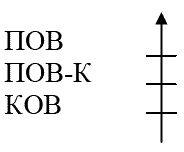 Лариса Никитина - Образ homo sapiens в русской языковой картине мира