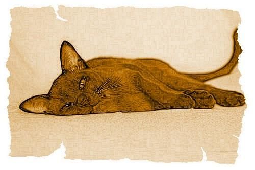 Дина Бакулина - Кот из Датского королевства