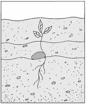 Алексей Алнашев - О боли