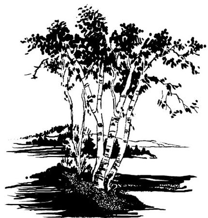 Марина Цветаева - Час души