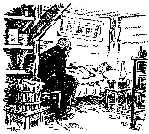 Леонид Рахманов, Евгений Рысс - Домик на болоте