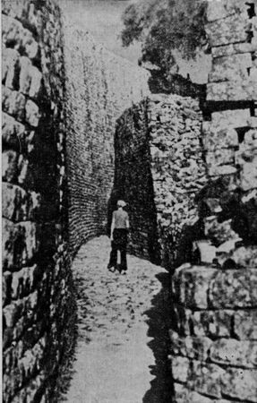 Николай Непомнящий - Колесницы в пустыне