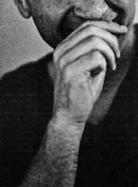 Дмитрий Липскеров - Мясо снегиря (гептамерон)