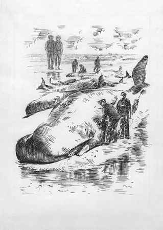 Саша Кругосветов - Победители Первого альтернативного международного конкурса...