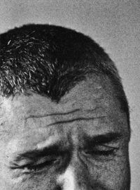 Дмитрий Липскеров - Мясо снегиря (гептамерон)