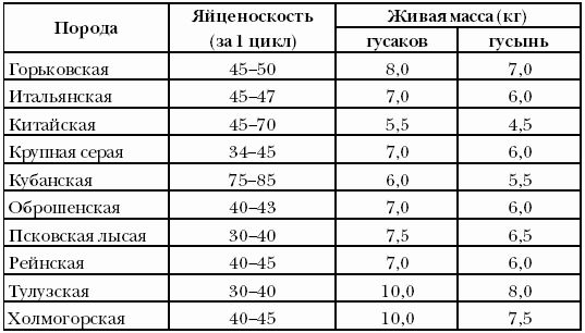 Ирина Новикова - Болезни домашней птицы
