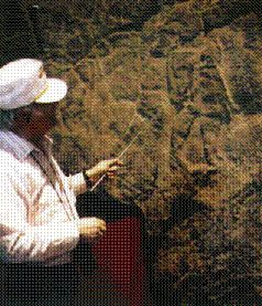 Захария Ситчин - Колыбели цивилизаций