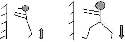 Теория и методика подготовки юных футболистов